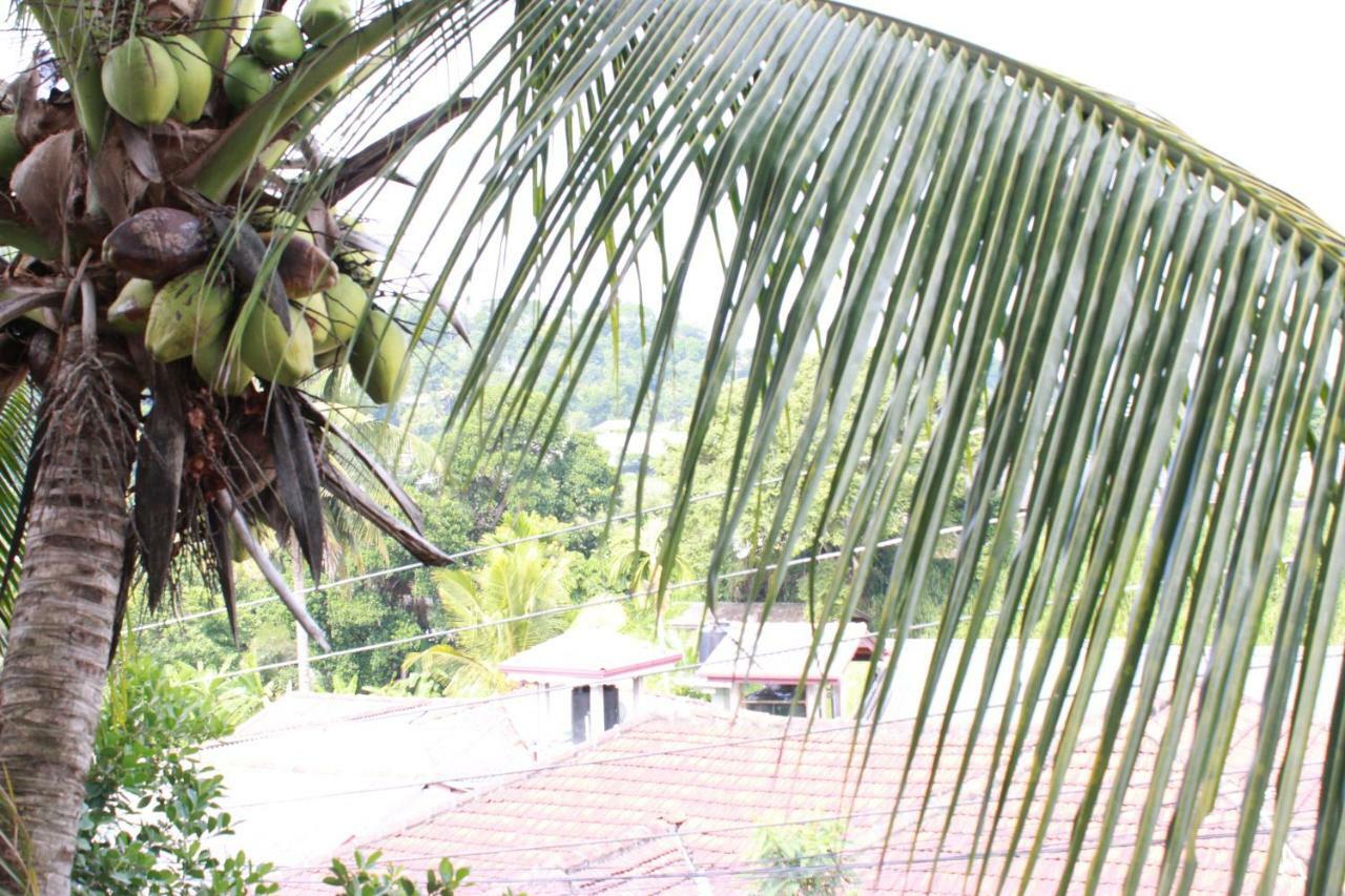 Resident View Homestay Канди Екстериор снимка